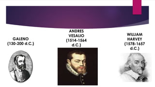 ANDRES
VESALIO
(1514-1564
d.C.)
WILLIAM
HARVEY
(1578-1657
d.C.)
 