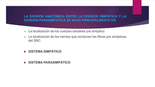 LA DIVISIÓN ANATÓMICA ENTRE LA DIVISIÓN SIMPÁTICA Y LA
DIVISIÓN PARASIMPÁTICA SE BASA PRINCIPALMENTE EN:
 La localización de los cuerpos celulares pre sinóptico
 La localización de los nervios que conducen las fibras pre sinópticas
del SNC.
 SISTEMA SIMPÁTICO
 SISTEMA PARASIMPÁTICO
 