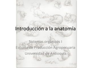 Introducción a la anatomía Sistemas orgánicos I Escuela de Producción Agropecuaria Universidad de Antioquia 