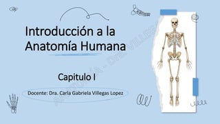 Docente: Dra. Carla Gabriela Villegas Lopez
Introducción a la
Anatomía Humana
Capitulo I
 