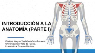 INTRODUCCIÓN A LA
ANATOMÍA (PARTE I)
Profesor Huguer Yael Castañeda Zavaleta.
Universidad del Valle de Puebla.
Licenciatura: Cirujano Dentista.
 