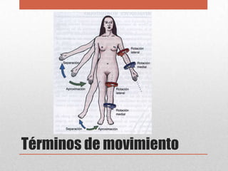 • Pronación
• Supinación
  • Son los movimientos de rotación del antebrazo y la mano
    que desplazan el extremo distal d...