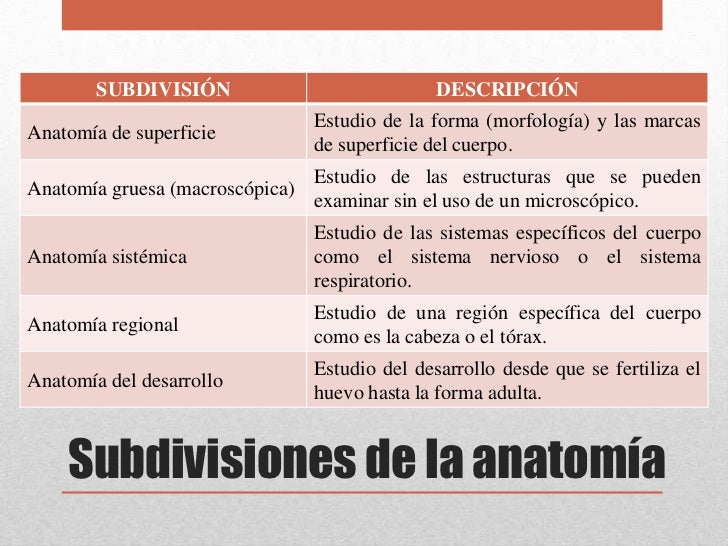 Introducción a la anatomía y fisiología humana
