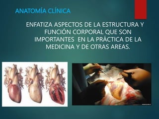 ANATOMÍA CLÍNICA
ENFATIZA ASPECTOS DE LA ESTRUCTURA Y
FUNCIÓN CORPORAL QUE SON
IMPORTANTES EN LA PRÁCTICA DE LA
MEDICINA Y DE OTRAS AREAS.
 