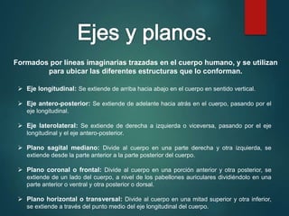 Formados por líneas imaginarias trazadas en el cuerpo humano, y se utilizan
para ubicar las diferentes estructuras que lo conforman.
 Eje longitudinal: Se extiende de arriba hacia abajo en el cuerpo en sentido vertical.
 Eje antero-posterior: Se extiende de adelante hacia atrás en el cuerpo, pasando por el
eje longitudinal.
 Eje laterolateral: Se extiende de derecha a izquierda o viceversa, pasando por el eje
longitudinal y el eje antero-posterior.
 Plano sagital mediano: Divide al cuerpo en una parte derecha y otra izquierda, se
extiende desde la parte anterior a la parte posterior del cuerpo.
 Plano coronal o frontal: Divide al cuerpo en una porción anterior y otra posterior, se
extiende de un lado del cuerpo, a nivel de los pabellones auriculares dividiéndolo en una
parte anterior o ventral y otra posterior o dorsal.
 Plano horizontal o transversal: Divide al cuerpo en una mitad superior y otra inferior,
se extiende a través del punto medio del eje longitudinal del cuerpo.
 