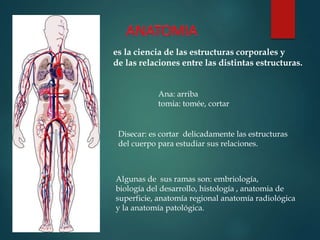 es la ciencia de las estructuras corporales y
de las relaciones entre las distintas estructuras.
Ana: arriba
tomia: tomée, cortar
Disecar: es cortar delicadamente las estructuras
del cuerpo para estudiar sus relaciones.
Algunas de sus ramas son: embriología,
biología del desarrollo, histología , anatomia de
superficie, anatomía regional anatomía radiológica
y la anatomía patológica.
 