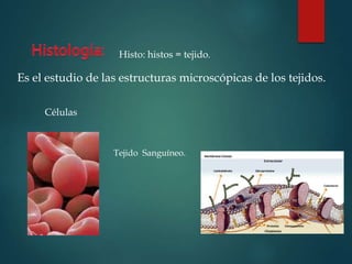 Células
Histo: histos = tejido.
Es el estudio de las estructuras microscópicas de los tejidos.
Tejido Sanguíneo.
 