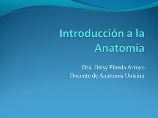 Dra. Deisy Pineda Arroyo
Docente de Anatomía Unisinú
 