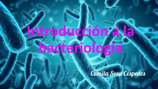 Introducción a la
bacteriología
Camila Sosa Céspedes
 