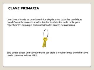 CLAVE PRIMARIA


Una clave primaria es una clave única elegida entre todas las candidatas
que define unívocamente a todos los demás atributos de la tabla, para
especificar los datos que serán relacionados con las demás tablas.




Sólo puede existir una clave primaria por tabla y ningún campo de dicha clave
puede contener valores NULL.
 