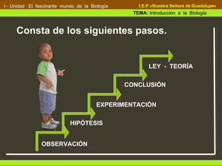 Consta de los siguientes pasos.
I - Unidad : El fascinante mundo de la Biología
TEMA: Introducción a la Biología
I.E.P «Nuestra Señora de Guadalupe»
OBSERVACIÓN
HIPÓTESIS
EXPERIMENTACIÓN
CONCLUSIÓN
LEY - TEORÍA
 