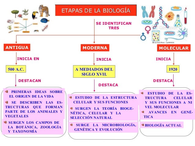 Introducción a la Biologia