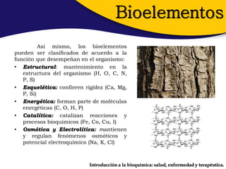 Bioelementos
          Así mismo, los bioelementos
pueden ser clasificados de acuerdo a la
función que desempeñan en el organismo:
• Estructural: mantenimiento en la
   estructura del organismo (H, O, C, N,
   P, S)
• Esquelética: confieren rigidez (Ca, Mg,
   P, Si)
• Energética: forman parte de moléculas
   energéticas (C, O, H, P)
• Catalítica: catalizan reacciones y
   procesos bioquímicos (Fe, Co, Cu, I)
• Osmótica y Electrolítica: mantienen
   y regulan fenómenos osmóticos y
   potencial electroquímico (Na, K, Cl)



                           Introducción a la bioquímica: salud, enfermedad y terapéutica.
 
