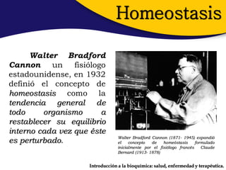 Homeostasis

      Walter Bradford
Cannon     un    fisiólogo
estadounidense, en 1932
definió el concepto de
homeostasis como la
tendencia general de
todo     organismo       a
restablecer su equilibrio
interno cada vez que éste
                                  Walter Bradford Cannon (1871- 1945) expandió
es perturbado.                    el    concepto  de    homeóstasis     formulado
                                  inicialmente por el fisiólogo francés    Claude
                                  Bernard (1913- 1878)


                     Introducción a la bioquímica: salud, enfermedad y terapéutica.
 