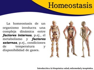 Homeostasis

   La homeostasis de un
organismo involucra una
compleja dinámica entre
factores internos, p.ej., el
metabolismo y factores
externos, p.ej., condiciones
de      temperatura        y
disponibilidad de gases.




                      Introducción a la bioquímica: salud, enfermedad y terapéutica.
 