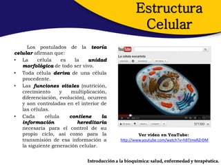 Estructura
                                                     Celular
     Los postulados de la teoría
celular afirman que:
• La      célula    es   la    unidad
   morfológica de todo ser vivo.
• Toda célula deriva de una célula
   procedente.
• Las funciones vitales (nutrición,
   crecimiento      y   multiplicación,
   diferenciación, evolución), ocurren
   y son controladas en el interior de
   las células.
• Cada       célula    contiene      la
   información            hereditaria
   necesaria para el control de su
   propio ciclo, así como para la                     Ver video en YouTube:
   transmisión de esa información a          http://www.youtube.com/watch?v=hBTImxRZrDM
   la siguiente generación celular.


                              Introducción a la bioquímica: salud, enfermedad y terapéutica.
 