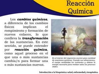 Reacción
                                                   Química
     Los cambios químicos,
a diferencia de los cambios
físicos      implican     el
rompimiento y formación de
nuevos enlaces, lo que
conlleva la transformación
de las sustancias. En este
sentido, se puede entender
por     reacción    química,
como aquel proceso en el
que una o más sustancias           En el interior del organismo ocurren gran cantidad
cambia/n para formar una           de reacciones químicas. Cuando nos alimentamos,
                                   el cuerpo metaboliza los nutrientes y obtiene la
o más sustancias nuevas.           energía necesaria para realizar todos los procesos
                                   vitales.


                      Introducción a la bioquímica: salud, enfermedad y terapéutica.
 