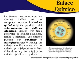 Enlace
                                                     Químico
La fuerza que mantiene los
átomos      unidos     en      un
compuesto se denomina enlace
químico y es producto del
solapamiento de orbitales
atómicos. Existen tres tipos
generales de enlace: covalente,
iónico y metálico. Los enlaces
pueden      ser   sencillos     o
múltiples (dobles y triples). Un
enlace sencillo consta de un
enlace tipo  (sigma); un enlace             Representación de la estructura
                                             atómica indicando las partículas
doble de un  y uno  (pi), y un              elementales que la constituyen.
enlace triple de un  y dos .
                       Introducción a la bioquímica: salud, enfermedad y terapéutica.
 