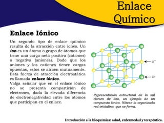 Enlace
                                                           Químico
Enlace Iónico
Un segundo tipo de enlace químico
resulta de la atracción entre iones. Un
ion es un átomo o grupo de átomos que
tiene una carga neta positiva (cationes)
o negativa (aniones). Dado que los
aniones y los cationes tienen cargas
opuestas, estos se atraen mutuamente.
Esta fuerza de atracción electrostática
es llamada enlace iónico.
Valga señalar que en el enlace iónico
no se presenta compartición de
electrones, dada la elevada diferencia
                                               Representación estructural de la sal
de electronegatividad entre los átomos         cloruro de litio, un ejemplo de un
que participan en el enlace.                   compuesto iónico. Nótese la organizada
                                               red cristalina que se forma.



                             Introducción a la bioquímica: salud, enfermedad y terapéutica.
 