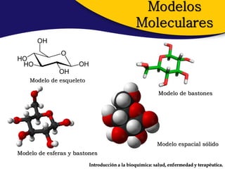 Modelos
                                               Moleculares



    Modelo de esqueleto

                                                          Modelo de bastones




                                                         Modelo espacial sólido
Modelo de esferas y bastones

                          Introducción a la bioquímica: salud, enfermedad y terapéutica.
 