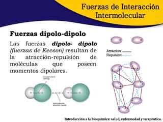 Fuerzas de Interacción
                                Intermolecular

Fuerzas dipolo-dipolo
Las fuerzas dipolo- dipolo
(fuerzas de Keeson) resultan de
la    atracción-repulsión    de
moléculas       que     poseen
momentos dipolares.




                   Introducción a la bioquímica: salud, enfermedad y terapéutica.
 