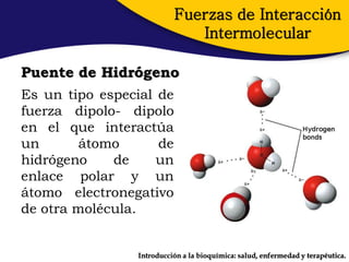Fuerzas de Interacción
                             Intermolecular

Puente de Hidrógeno
Es un tipo especial de
fuerza dipolo- dipolo
en el que interactúa
un       átomo      de
hidrógeno    de     un
enlace polar y un
átomo electronegativo
de otra molécula.


                Introducción a la bioquímica: salud, enfermedad y terapéutica.
 