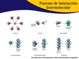 Fuerzas de Interacción
             Intermolecular




Introducción a la bioquímica: salud, enfermedad y terapéutica.
 