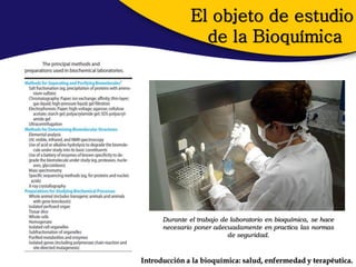 El objeto de estudio
                 de la Bioquímica




      Durante el trabajo de laboratorio en bioquímica, se hace
      necesario poner adecuadamente en practica las normas
                           de seguridad.



Introducción a la bioquímica: salud, enfermedad y terapéutica.
 