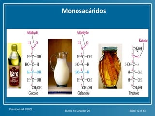 Monosacáridos




                      Insert figure 20.2




Prentice-Hall ©2002
                                     Burns 4/e Chapter 20   Slide 12 of 43
 