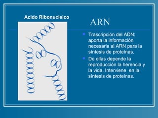 Acido Ribonucleico
                         ARN
                        Trascripción del ADN:
                         aporta la información
                         necesaria al ARN para la
                         síntesis de proteínas.
                        De ellas depende la
                         reproducción la herencia y
                         la vida. Interviene en la
                         síntesis de proteínas.
 