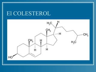 El COLESTEROL
                    H3C   H

                    CH3
                          H         CH3
      CH3       H
                              H3C

            H       H

HO
 