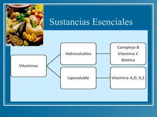 Sustancias Esenciales
 