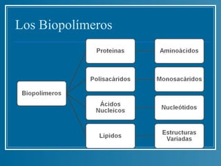 Los Biopolímeros
 