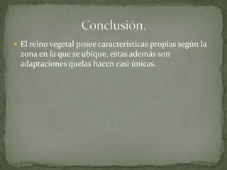  El reino vegetal posee características propias según la
  zona en la que se ubique, estas además son
  adaptaciones quelas hacen casi únicas.
 