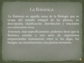 La Botánica es aquella rama de la Biología que se
ocupa del estudio integral de las plantas, su
descripción, clasificación, distribución y relaciones
con otros seres vivos.
Entonces, más específicamente, podemos decir que la
Botánica estudia a una serie de organismos
emparentados lejanamente entre sí, las algas, los
hongos, las cianobacterias y las plantas terrestres.
 