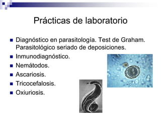 Prácticas de laboratorioDiagnóstico en parasitología. Test de Graham. Parasitológico seriado de deposiciones.Inmunodiagnóstico.Nemátodos.Ascariosis.Tricocefalosis.Oxiuriosis. 