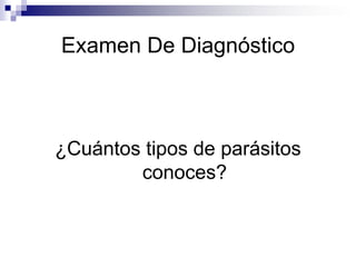 Examen De Diagnóstico¿Cuántos tipos de parásitos conoces?