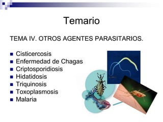 TemarioTEMA IV. OTROS AGENTES PARASITARIOS.CisticercosisEnfermedad de ChagasCriptosporidiosisHidatidosisTriquinosis ToxoplasmosisMalaria