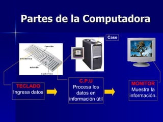 Partes de la Computadora Case TECLADO Ingresa datos C.P.U Procesa los datos en información útil MONITOR Muestra la información.