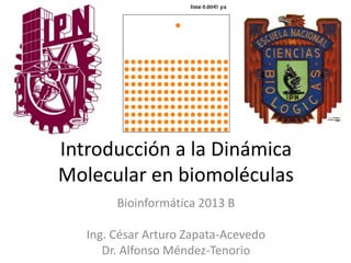 Introducción a la Dinámica
Molecular en biomoléculas
Bioinformática 2013 B
Ing. César Arturo Zapata-Acevedo
Dr. Alfonso Méndez-Tenorio

 