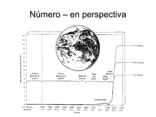 Número – en perspectiva 
 