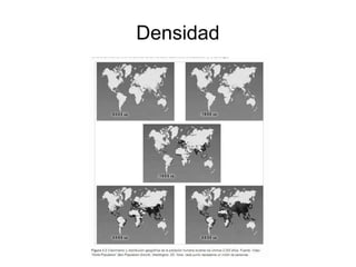 Densidad 
 