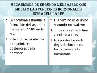 MECANISMOS DE SEGuNDO MENSAjERO quE
MEDIAN LAS fuNCIONES HORMONALES
INTRACELuLARES
• La hormona estimula la
formación del segundo
mensajero AMPc en la
MC
• Este induce los efectos
intracelulares
posteriores de la
hormona
• El AMPc no es el único
segundo mensajero:
1. El Ca y la calmodulina
asociada a ellos
2. Los productos de la
degradación de los
fosfolípidos de la
membrana
 