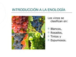 INTRODUCCIÓN A LA ENOLOGÍA

                 Los vinos se
                   clasifican en:

                    Blancos,
                    Rosados,
                    Tintos y
                    Espumosos.
 
