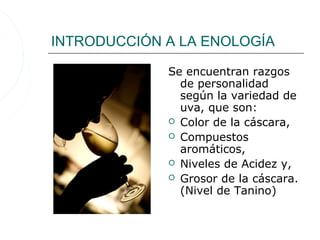 INTRODUCCIÓN A LA ENOLOGÍA

             Se encuentran razgos
               de personalidad
               según la variedad de
               uva, que son:
              Color de la cáscara,
              Compuestos
               aromáticos,
              Niveles de Acidez y,
              Grosor de la cáscara.
               (Nivel de Tanino)
 