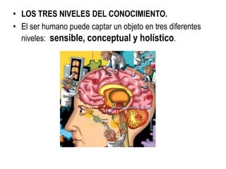 • LOS TRES NIVELES DEL CONOCIMIENTO.
• El ser humano puede captar un objeto en tres diferentes
  niveles: sensible, conceptual y holístico.
 