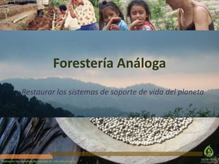 Forestería Análoga
Restaurar los sistemas de soporte de vida del planeta

Restaurar los sistemas de soporte de vida del planeta.

 