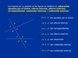 Los ángulos por su posición en las figuras se clasifican en  adyacentes ,  opuestos por el vértice ,  alterno-internos ,  alterno-externos ,  correspondientes ,  colaterales-internos ,  y  colaterales-externos .  a c b d y n x m  son opuestos por el vértice   son alterno-internos   son correspondientes  son alterno-externos  son adyacentes  son colaterales-internos  son colaterales-externos 