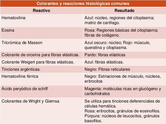 Clasificacion De Los Colorantes En Microbiologia es.slideshare.net