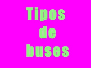 Tipos  de  buses 